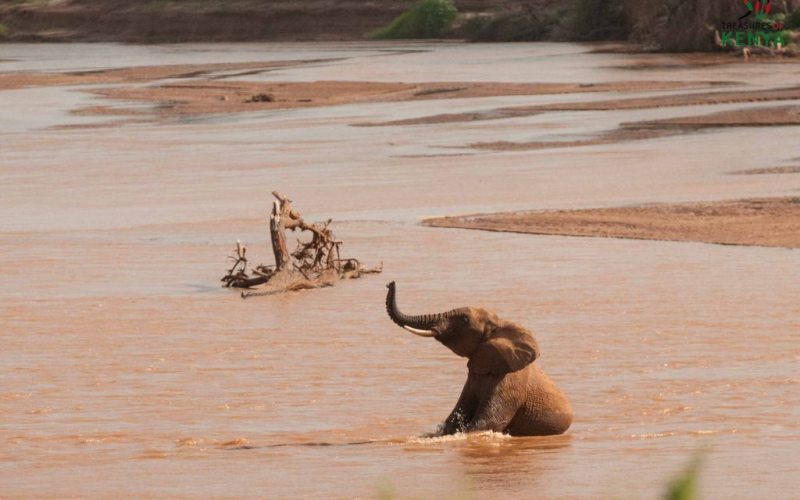 Safari tours at Samburu