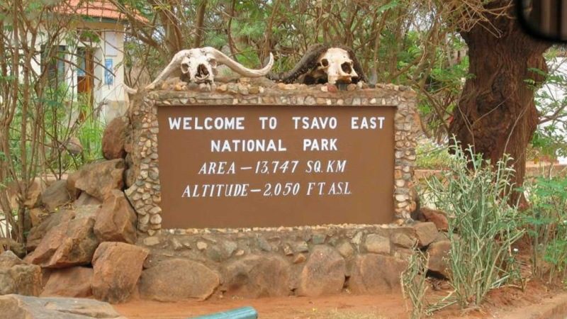 Safari tours at Tsavo-West