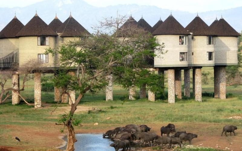 Best kenya safari tours at Tsavo West