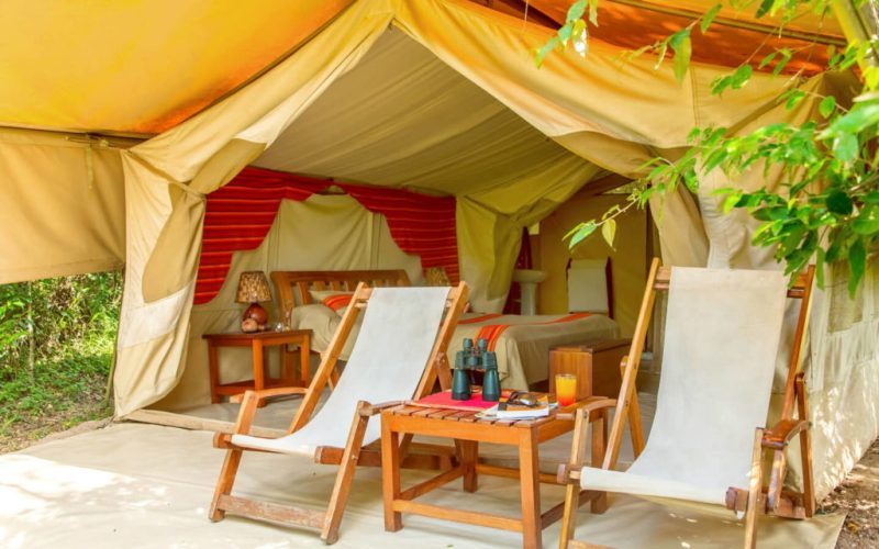 Honey moon at maasai-mara-safari