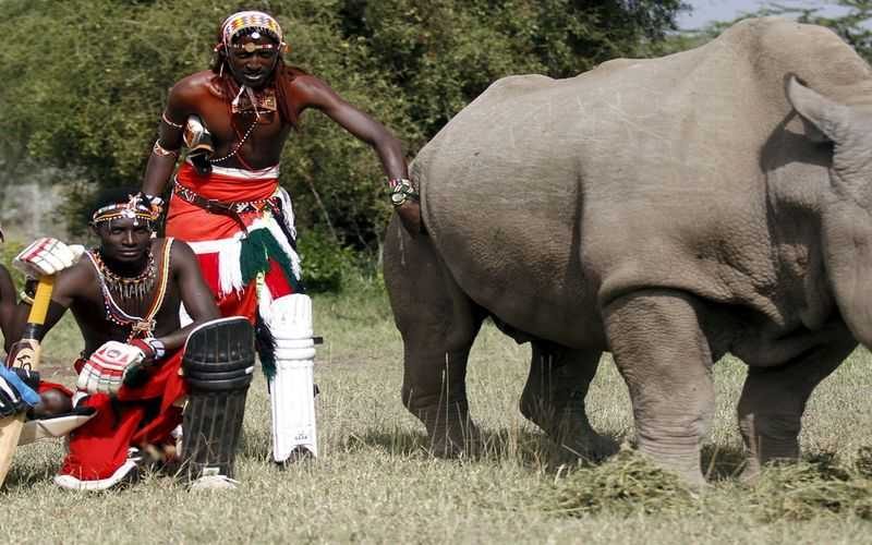 safari tours at Ol pejeta