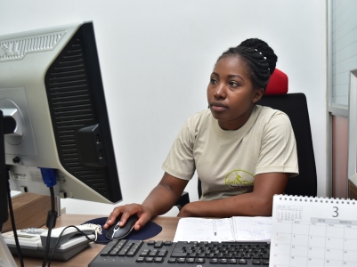 Safe drive tours and travel ltd